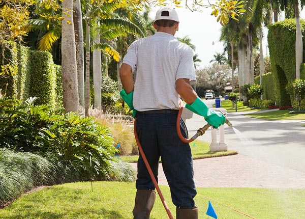 About East Grand Forks MN Pest Control